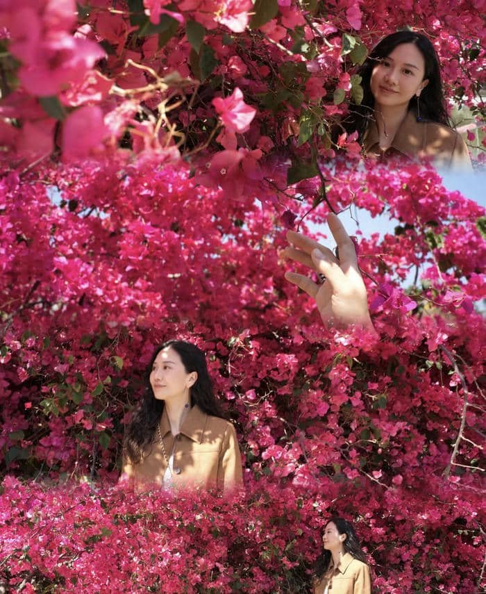 Ảnh hoa nghệ thuật