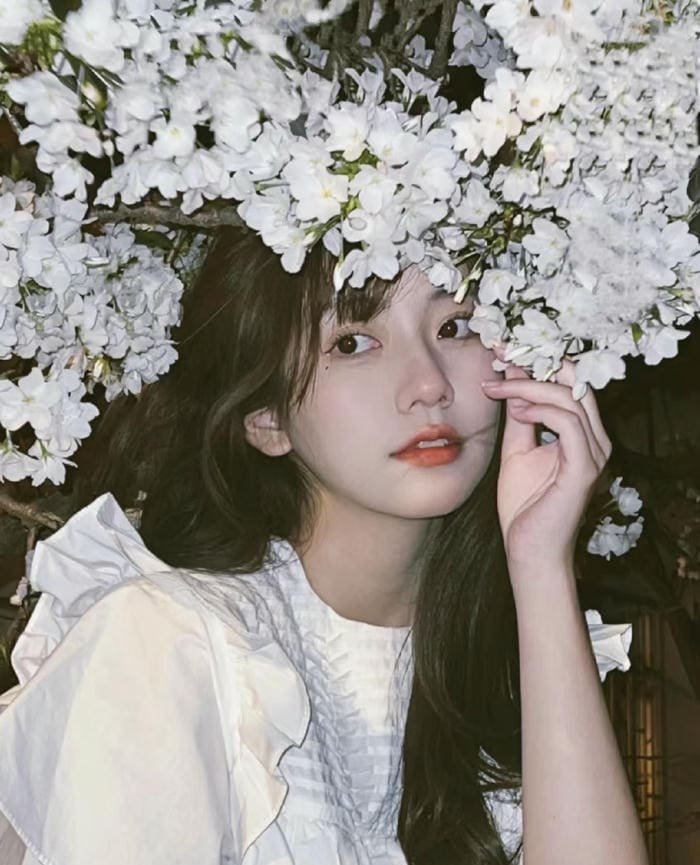 Gái xinh thanh lịch