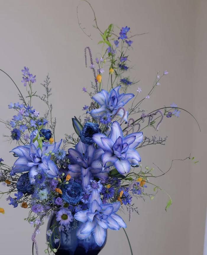 Hình hoa khiến lòng người thư thái