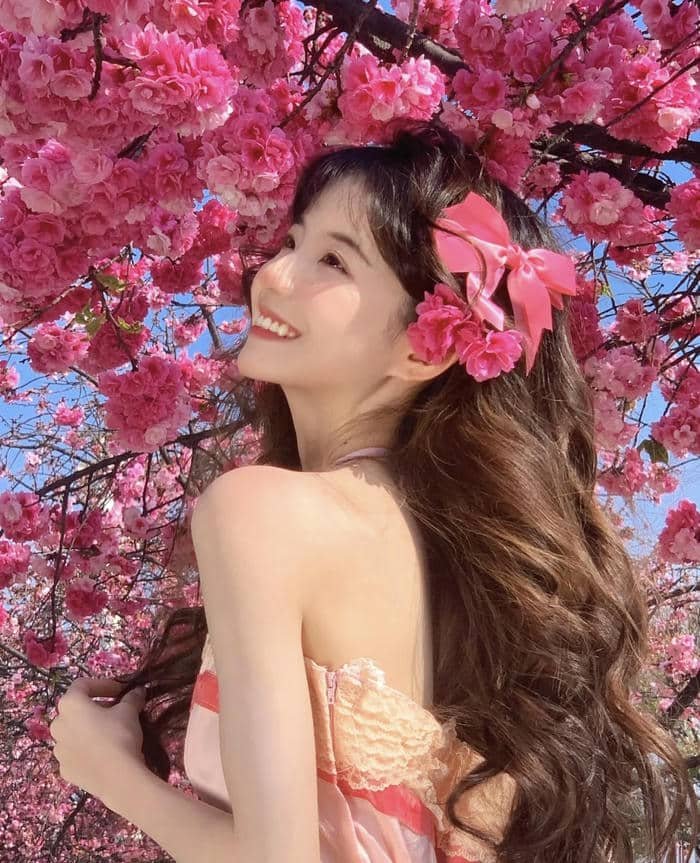 Hình hoa nhẹ dịu