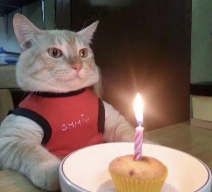 Hình sinh nhật vui nhộn trên mạng