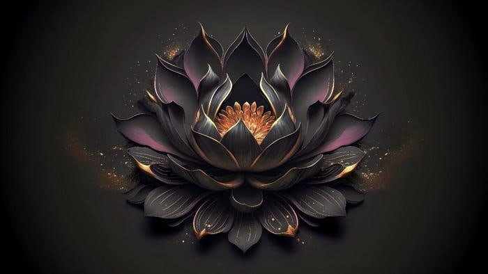 Hoa sen đen tao nhã