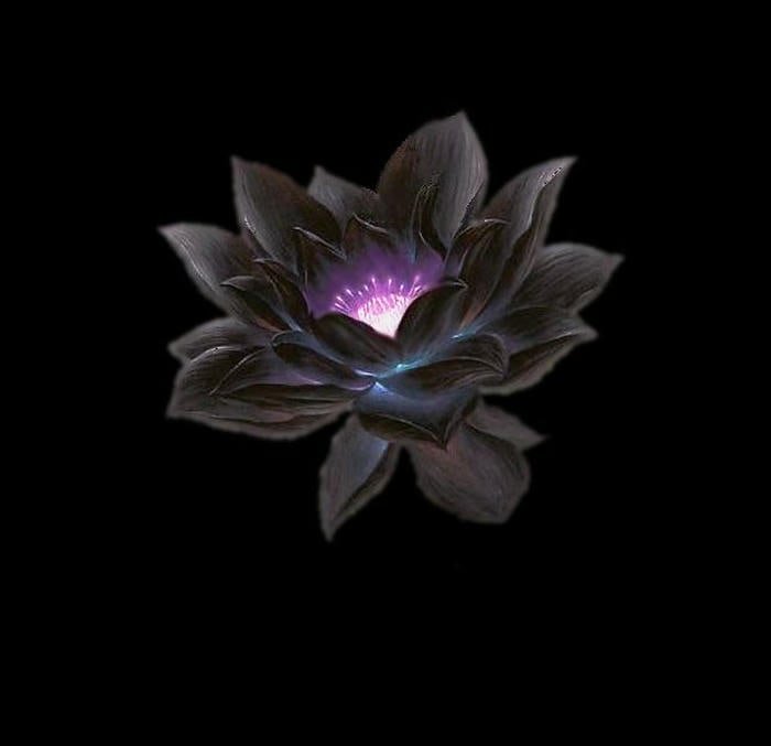 Hoa sen đen tinh xảo