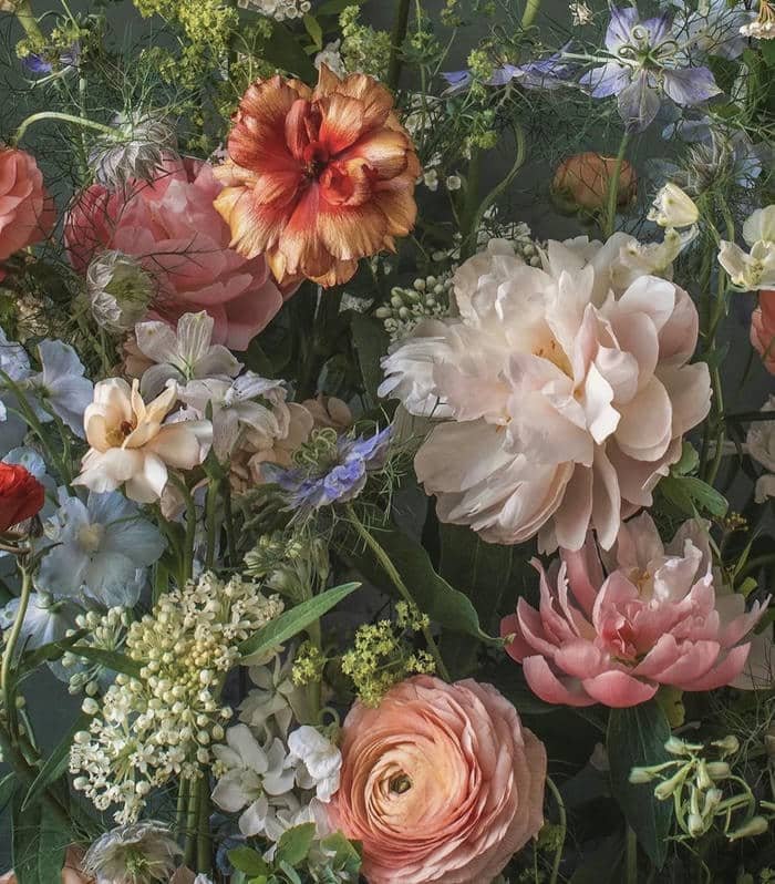 Hoa tươi rạng rỡ