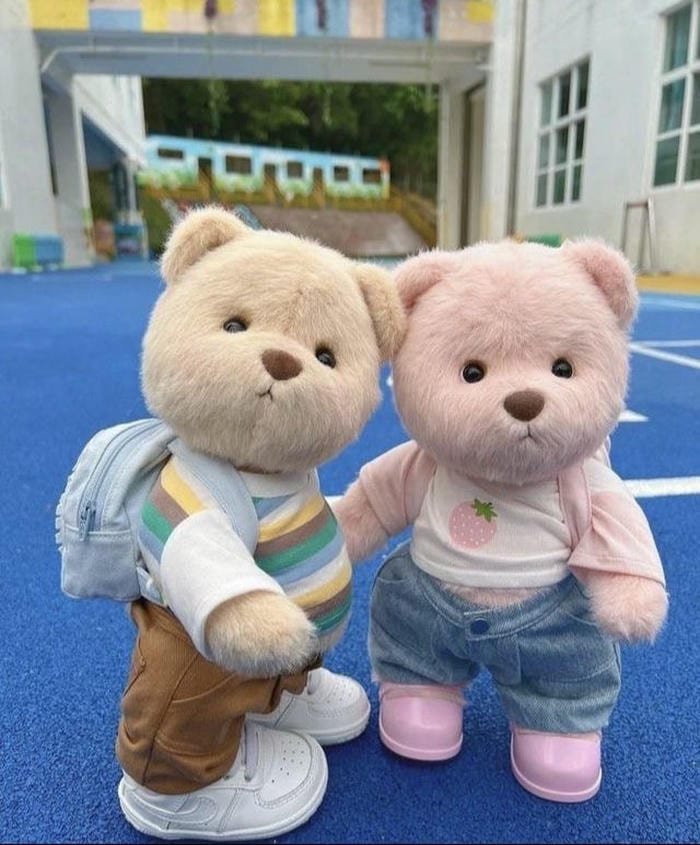 ảnh gấu 2 con gấu