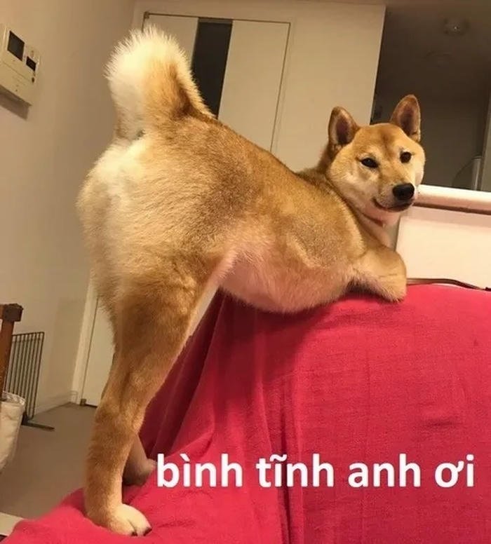 bình tĩnh meme anh ơi