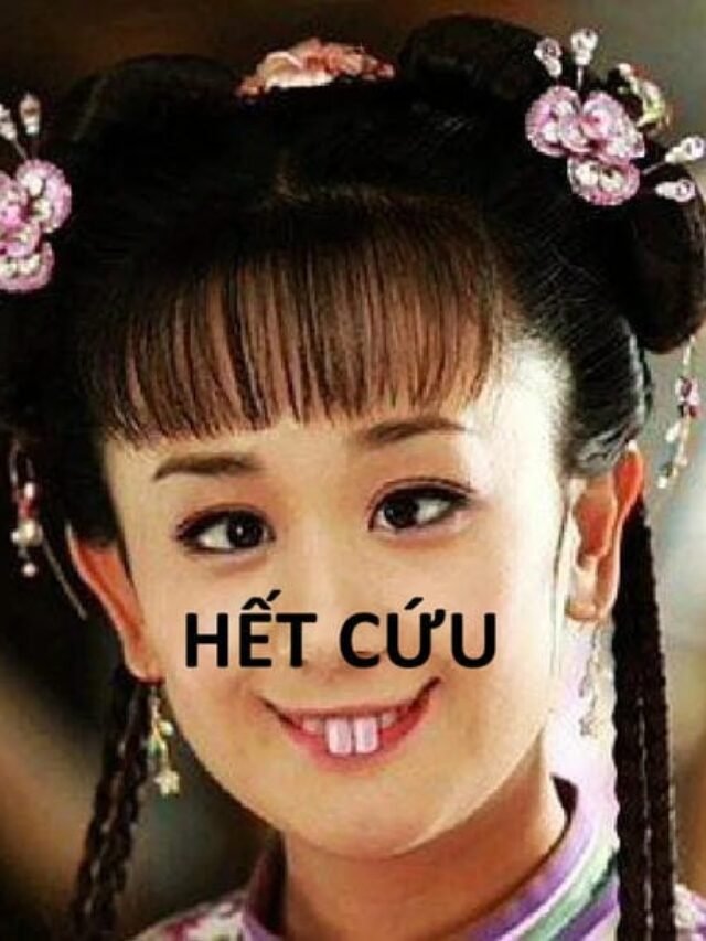 Tổng hợp 100+ meme hết cứu khiến bạn cười không ngừng