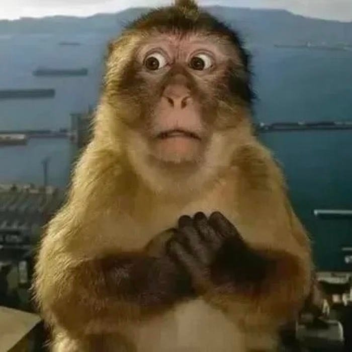 đau ở đây này meme chết lặng