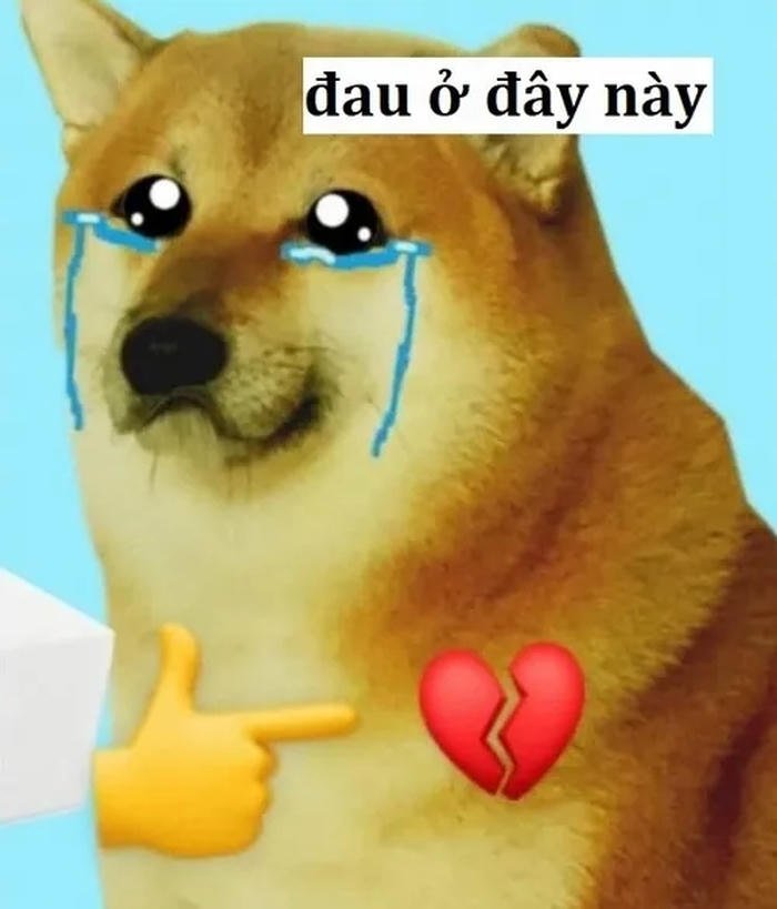 đau ở đây này meme chó