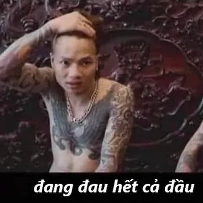 khá bảnh meme đau đầu