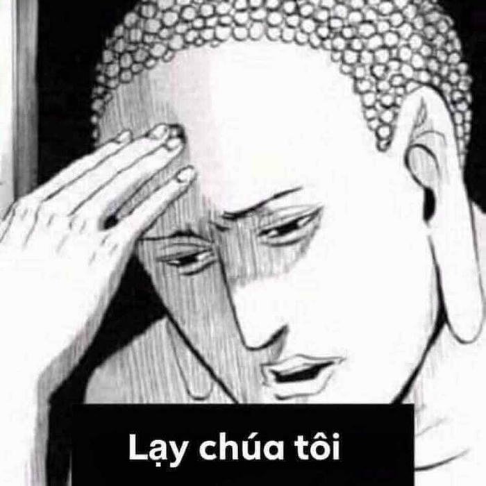 lạy meme bựa