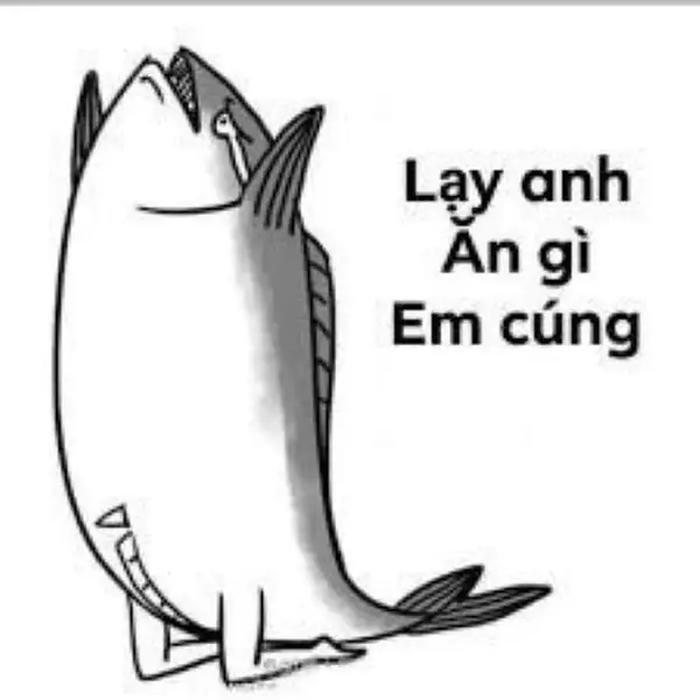 lạy meme con cá