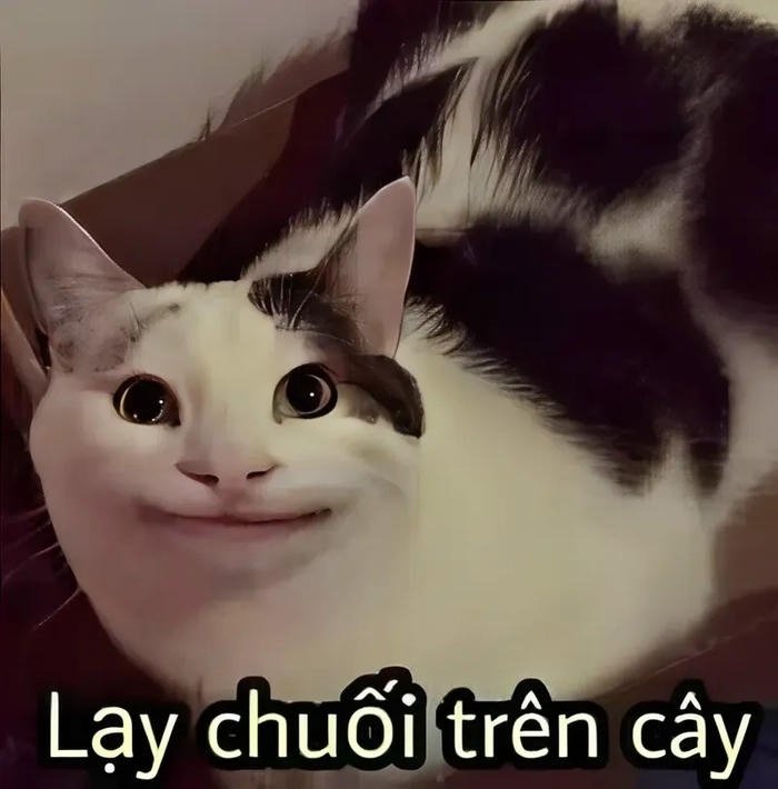 lạy meme cười gượng