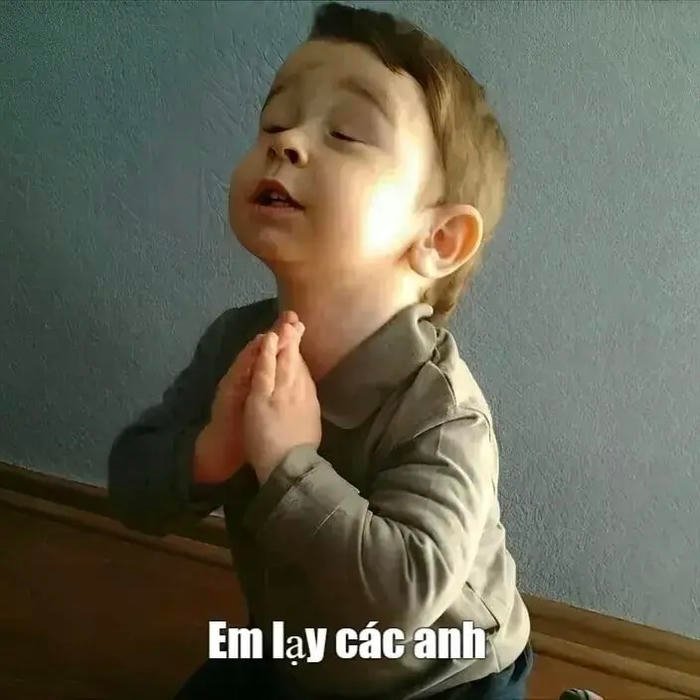 lạy meme em bé