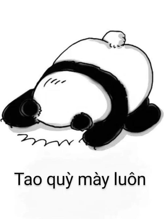 lạy meme gấu