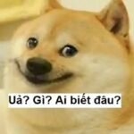 meme ai biết gì đâu