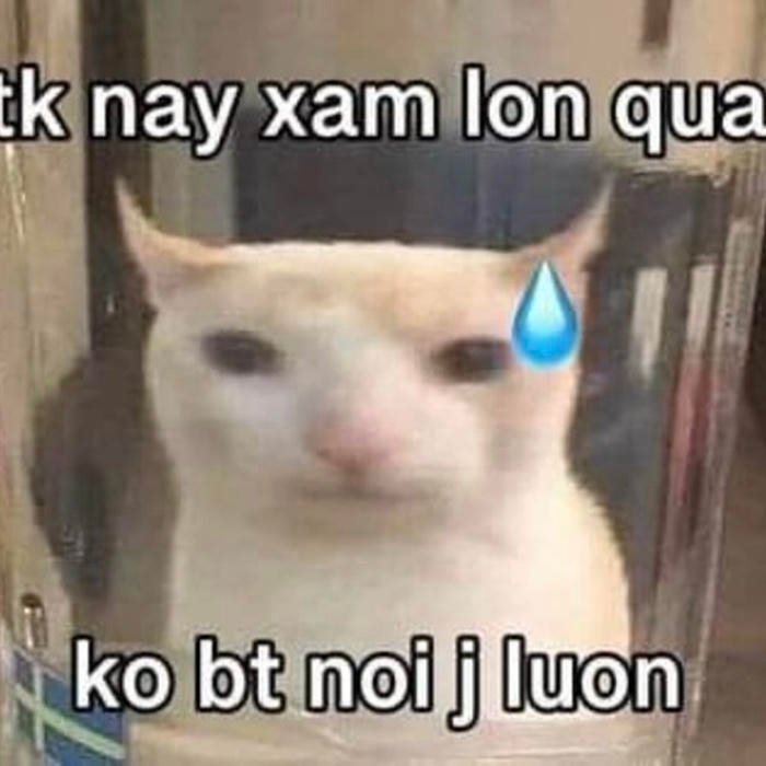 meme ai biết gì đâu bựa