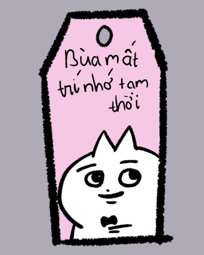 meme ai biết gì đâu bùa