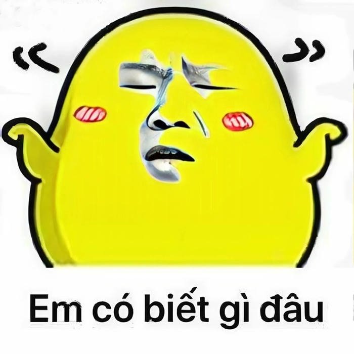 meme ai biết gì đâu cực hài