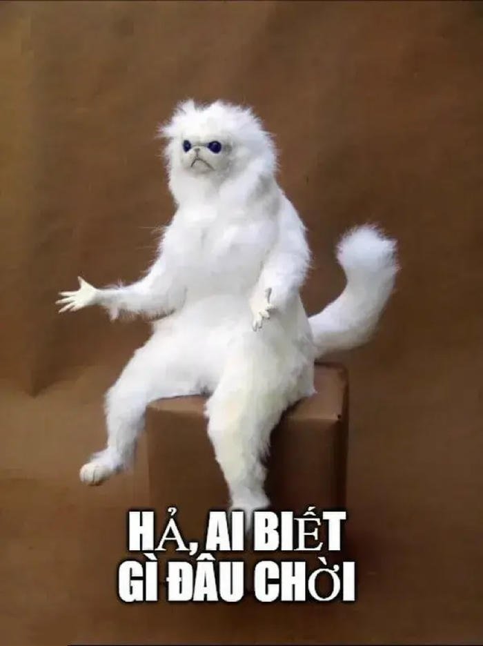 meme ai biết gì đâu đẹp bựa