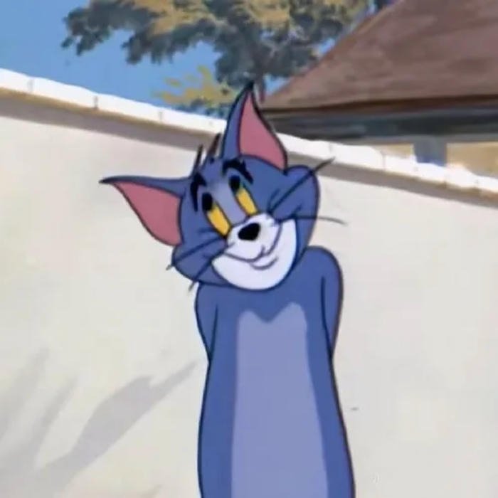 meme ai biết gì đâu mèo tom