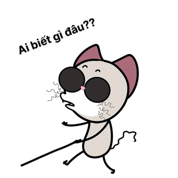 meme ai biết gì đâu mù