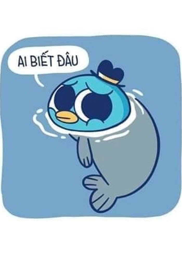 meme ai biết gì đâu vẽ