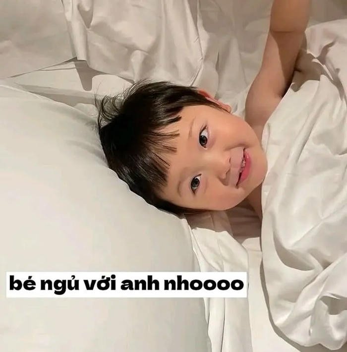 meme chúc ngủ ngon cute cực cute