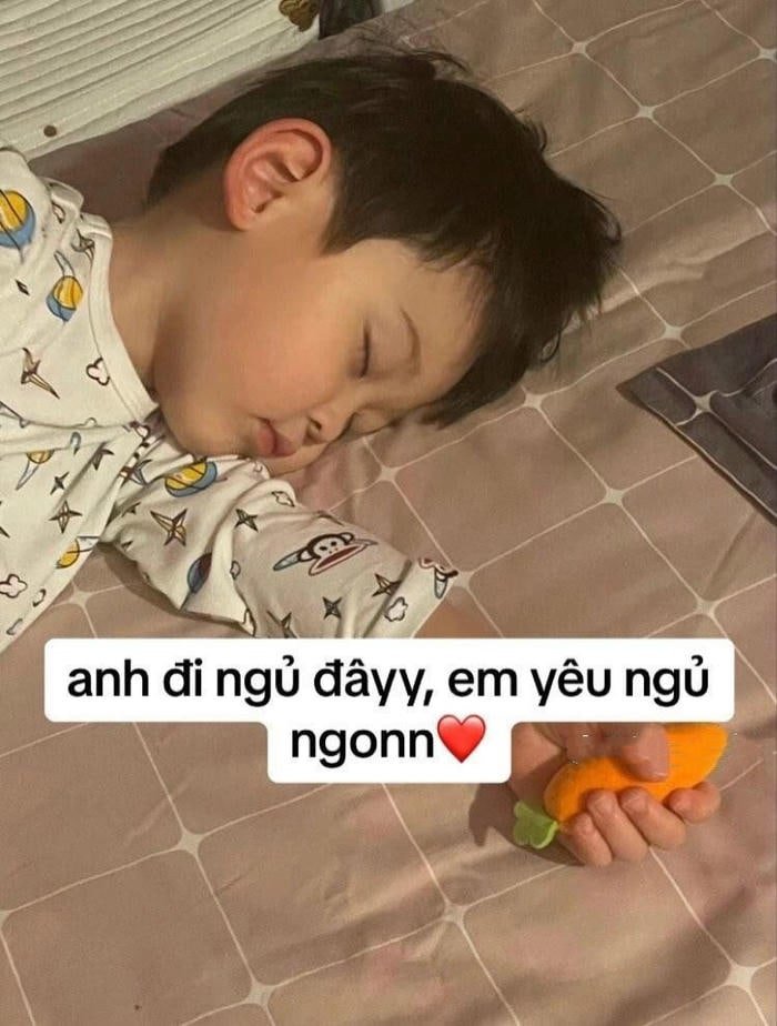 meme chúc ngủ ngon cute siêu cute