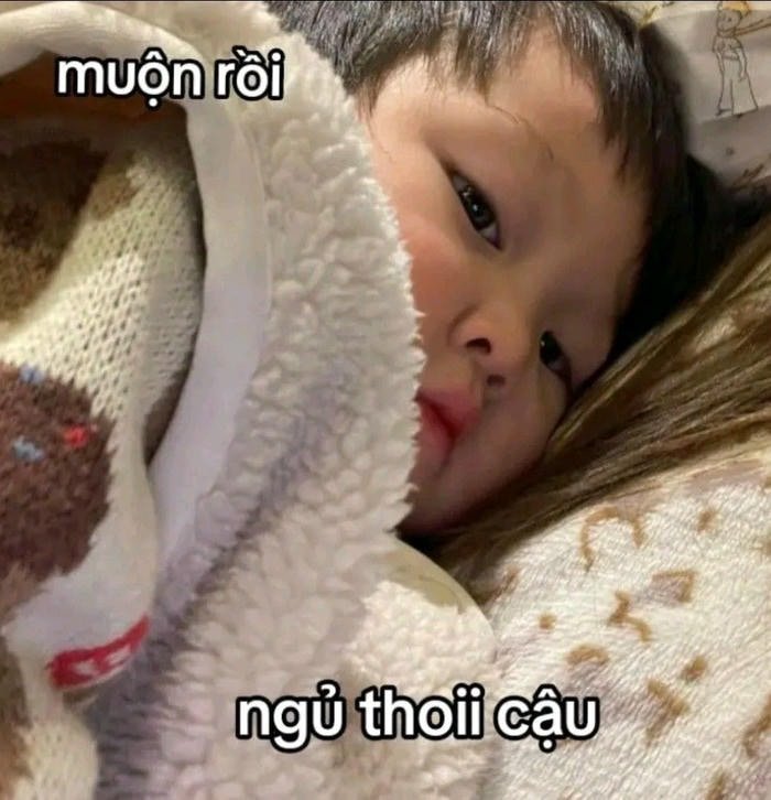 meme chúc ngủ ngon cute siêu dễ thương