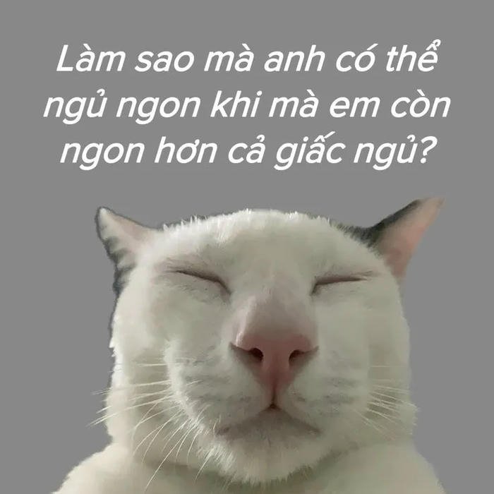 meme chúc ngủ ngon cute