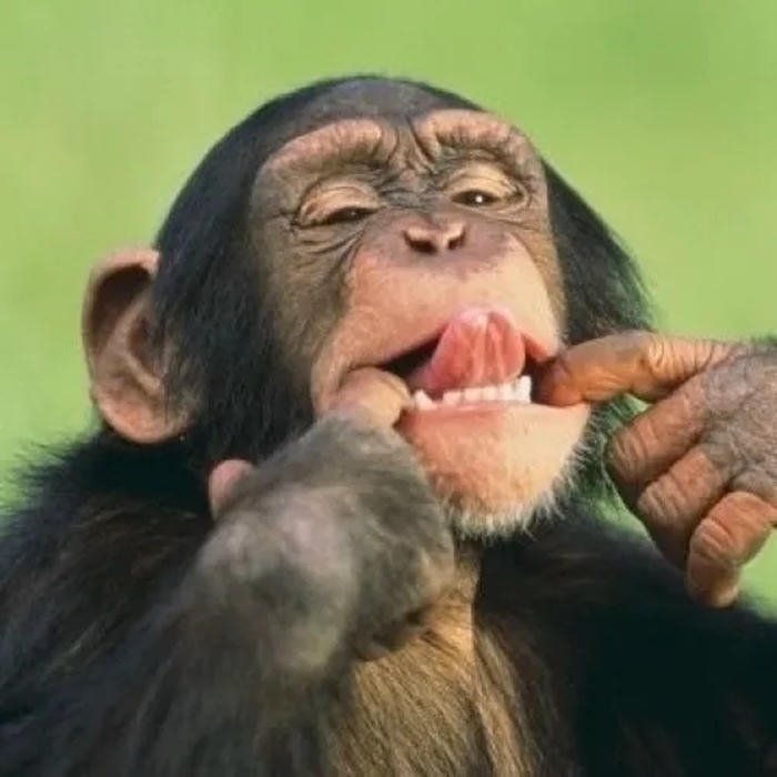 meme lêu lêu khỉ