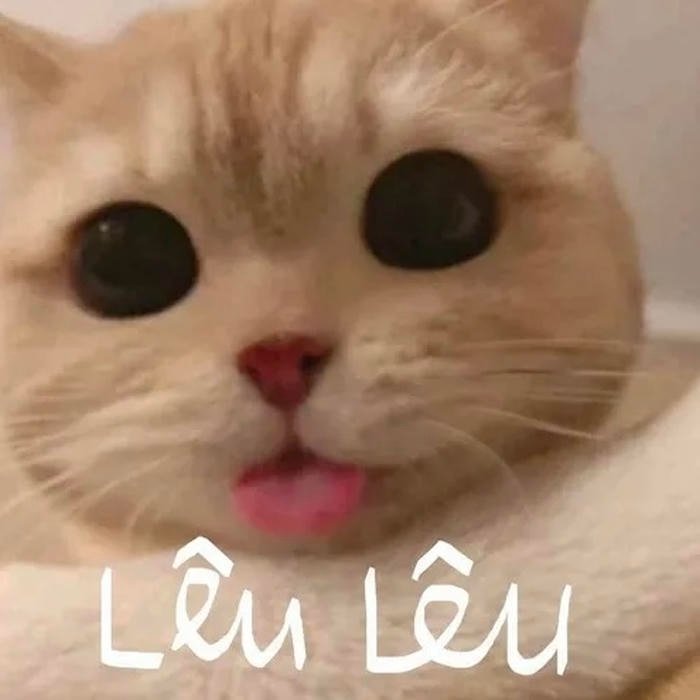 meme lêu lêu mèo cực dễ thương