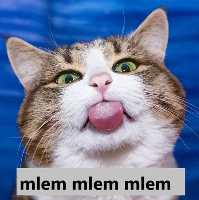 meme liếm mèo dễ thương