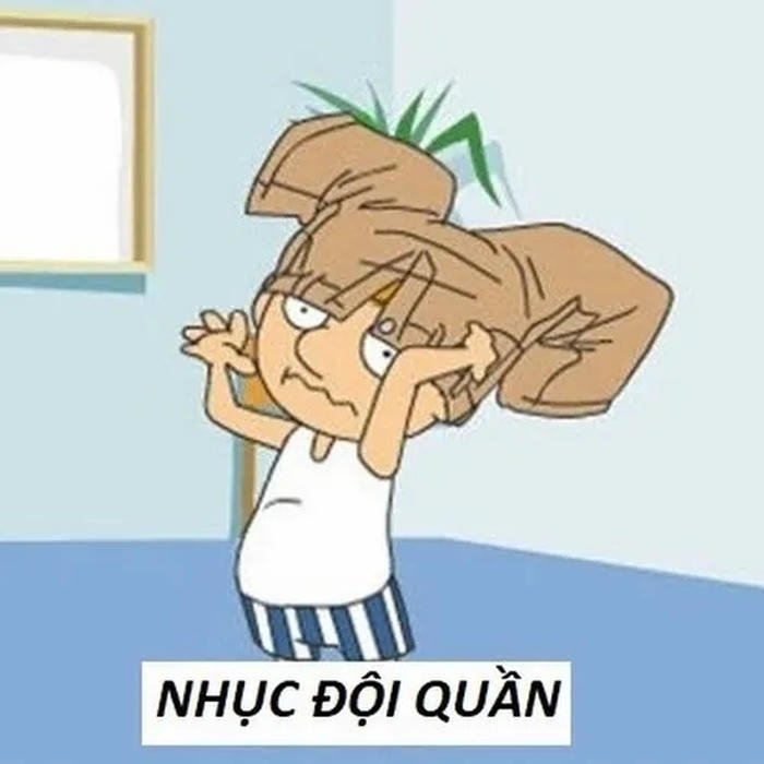 meme quê đẹp