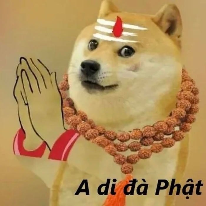 mô phật meme cheems