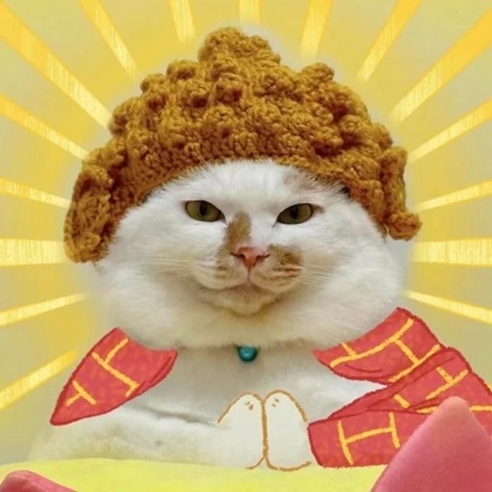 mô phật meme mèo dễ thương