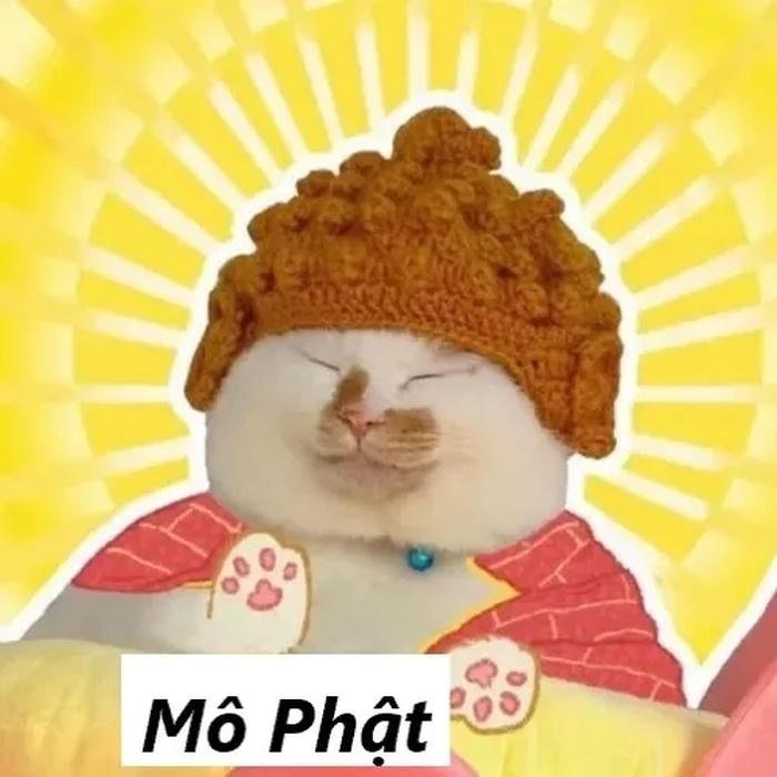 mô phật meme mèo