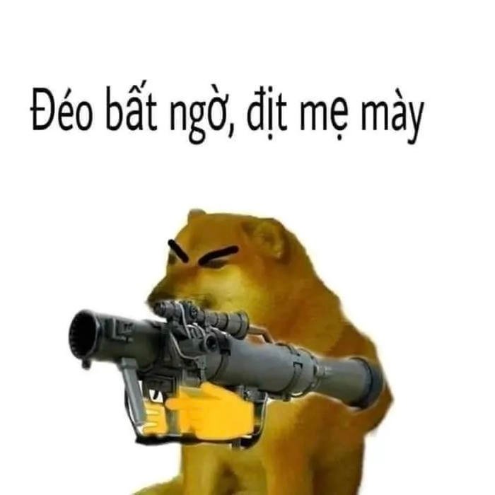 súng meme chửi