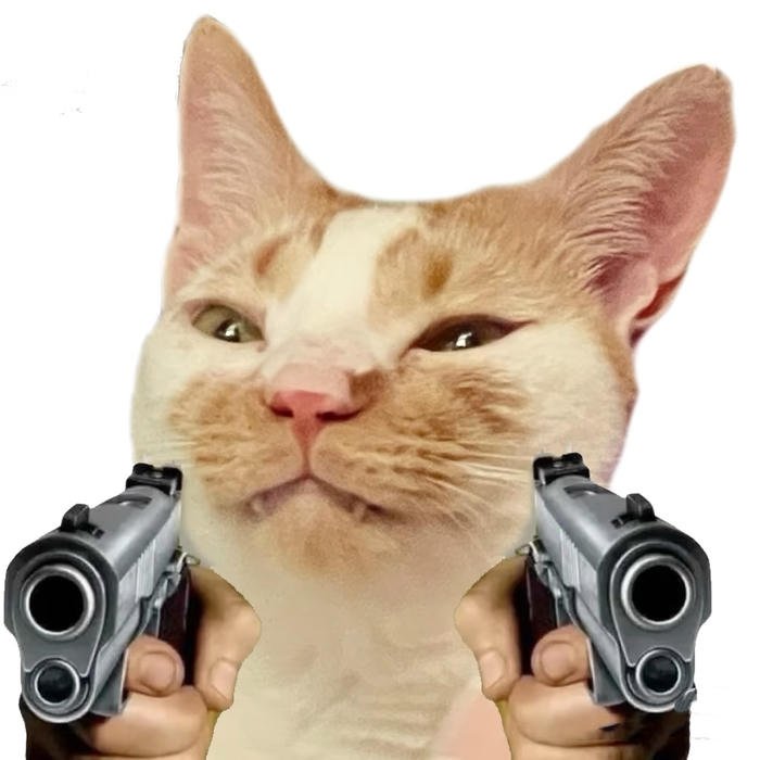 súng meme mèo 2 súng