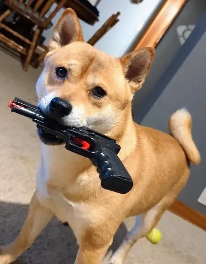 súng meme ngậm súng