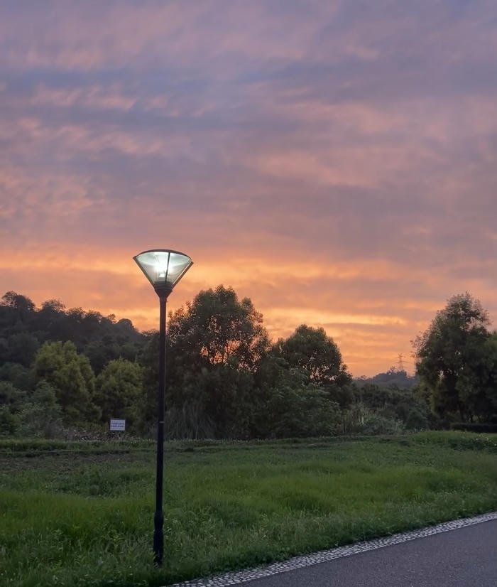 ảnh bầu trời hoàng hôn tím hồng