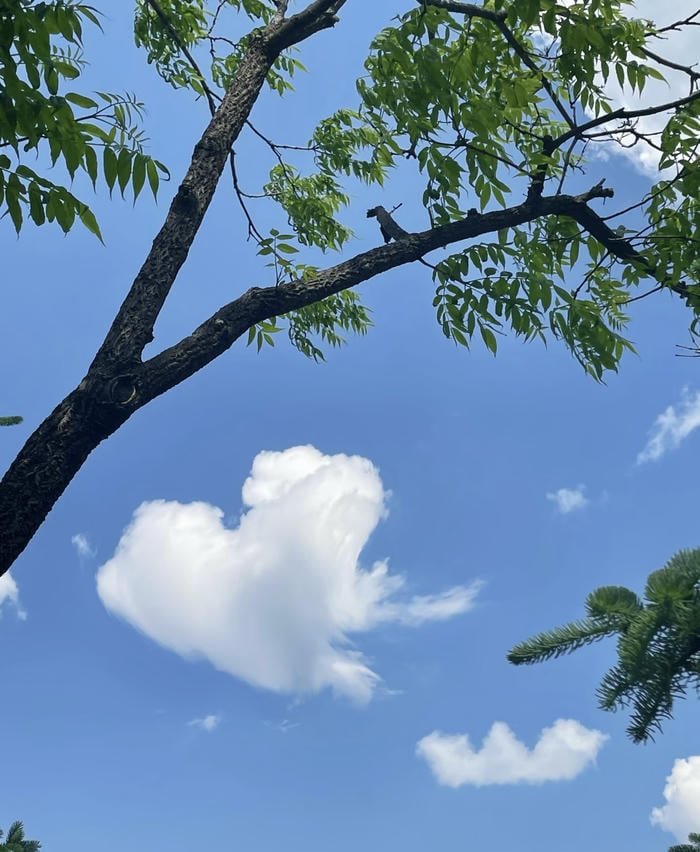 ảnh bầu trời nhẹ nhàng