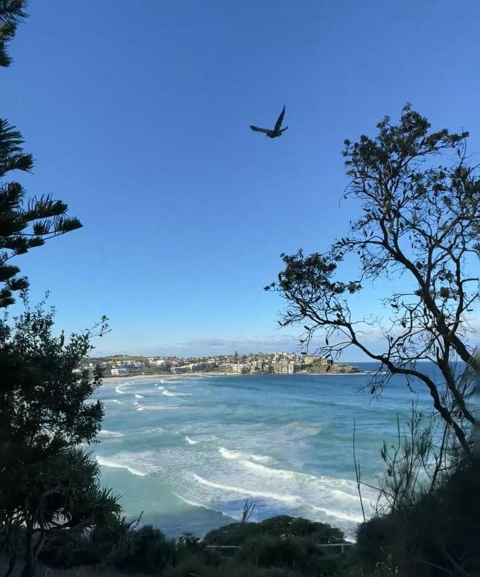 ảnh biển chill dịu êm