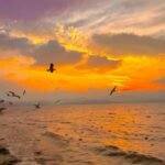 ảnh biển chill hoàng hôn tĩnh lặng