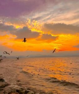 ảnh biển chill hoàng hôn tĩnh lặng