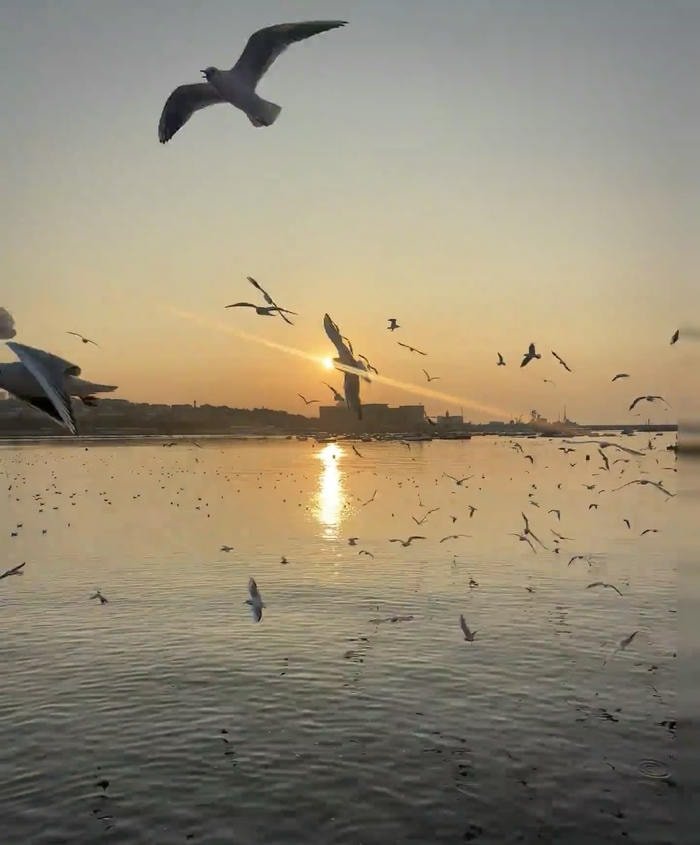 ảnh biển đẹp mềm mại