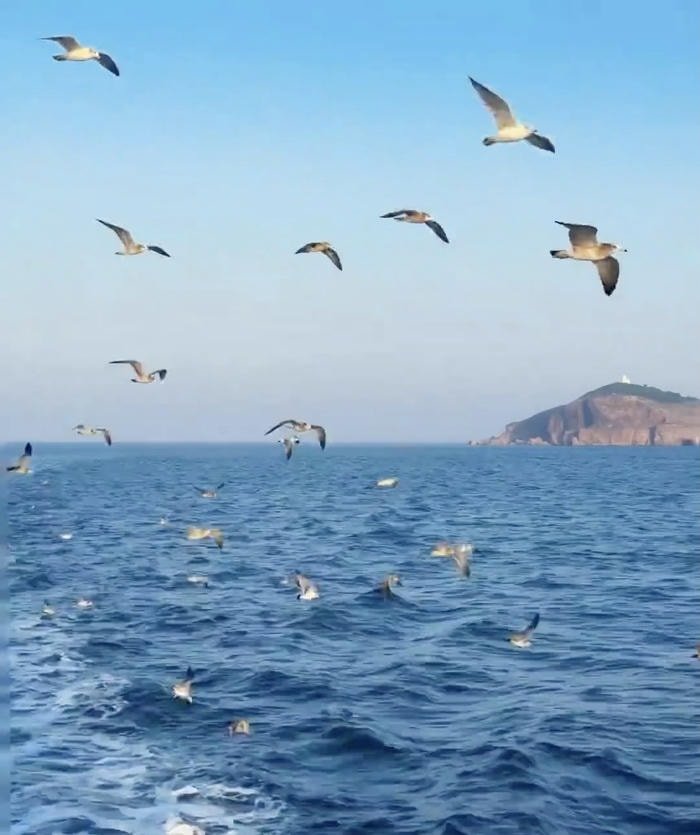 ảnh biển đẹp trong veo