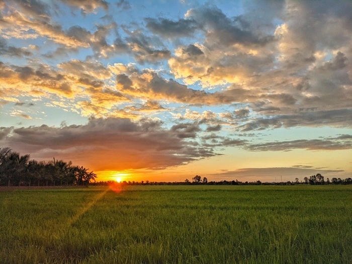 ảnh bình minh ấm áp