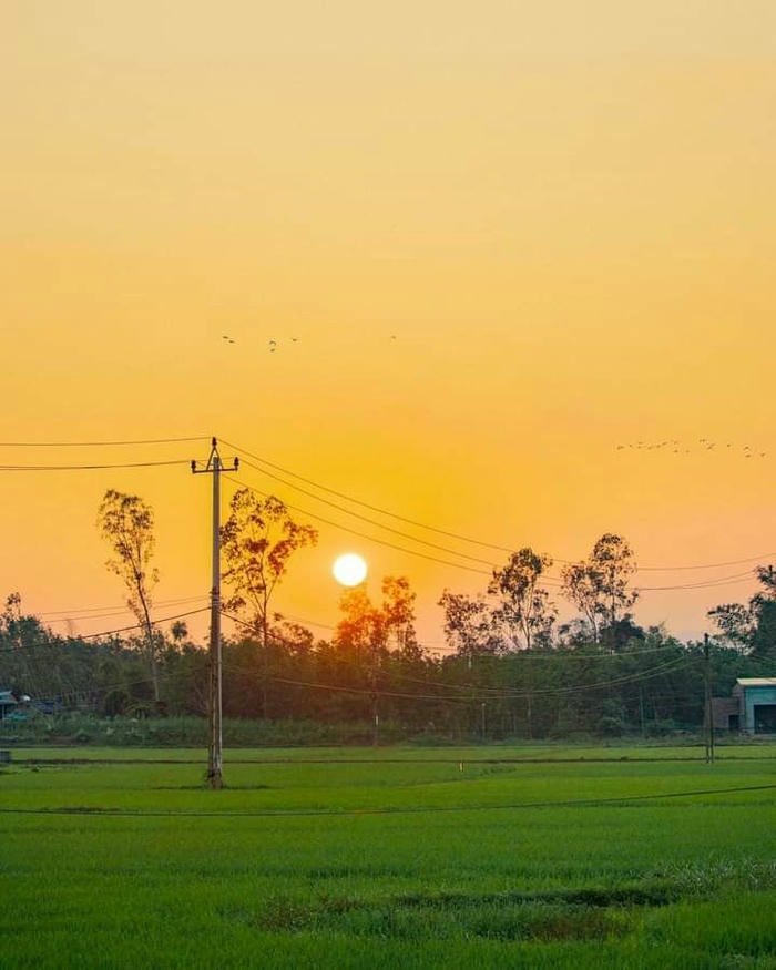 ảnh bình minh đầy sức sống